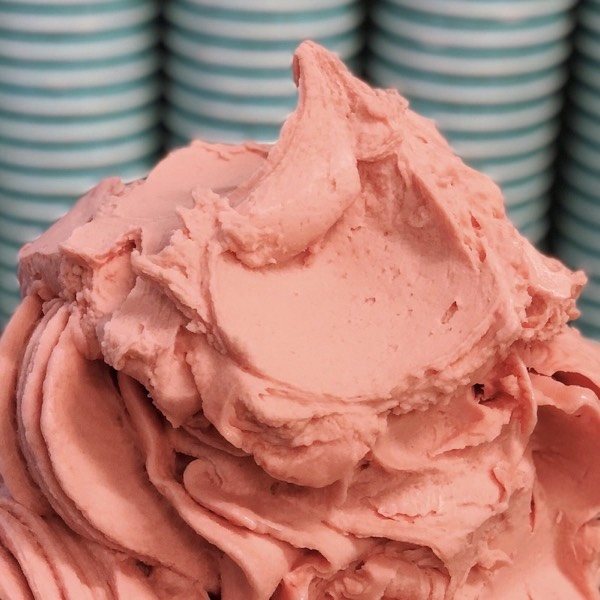 Blutorangensorbet von Katchi in der Eiswanne vor türkisen Bechern