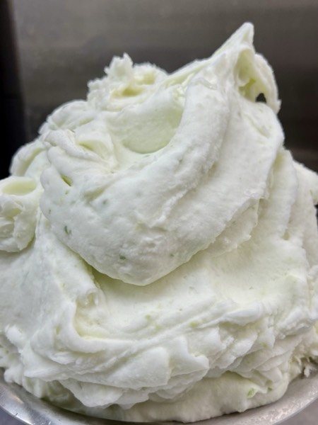 Zitrone-Gurke-Aloe-Vera-Sorbet von Katchi in der Eiswanne